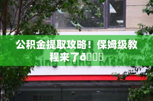 石台公积金提取攻略！保姆级教程来了😎
