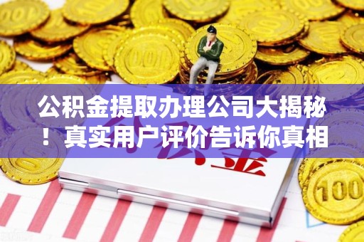 石台公积金提取办理公司大揭秘！真实用户评价告诉你真相